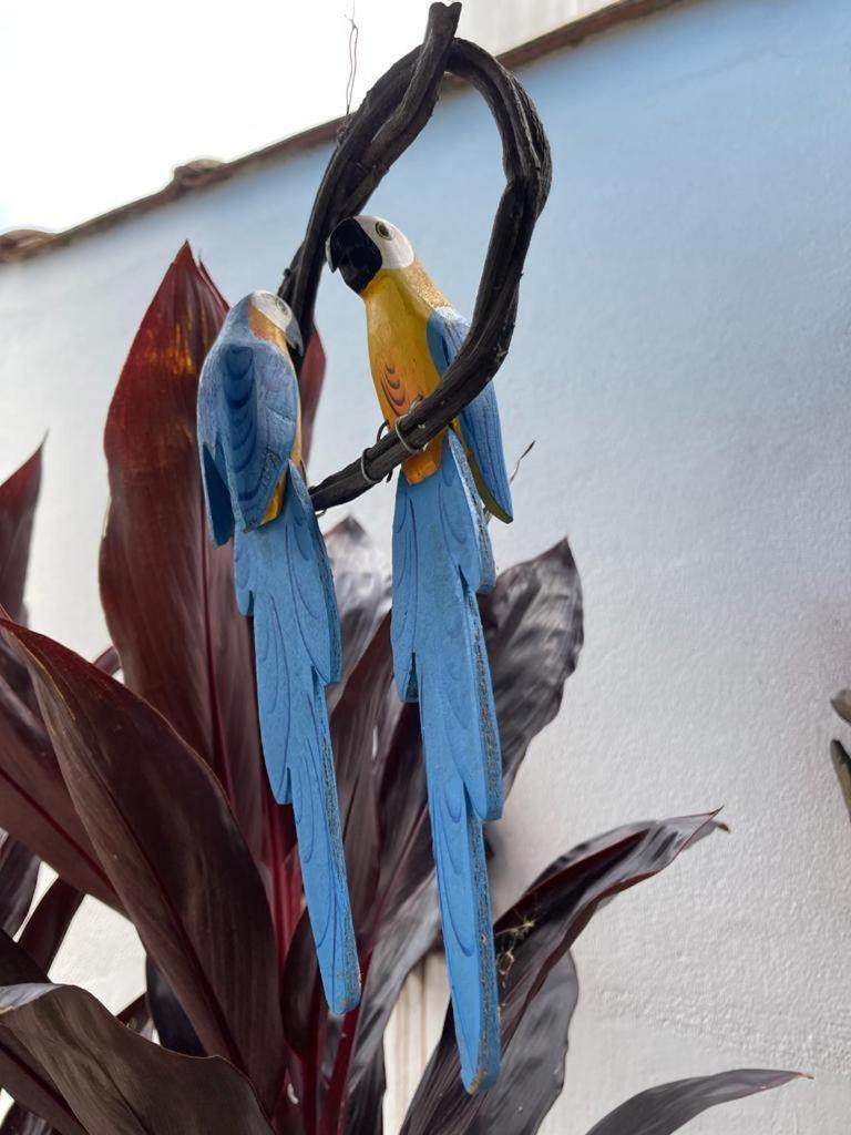 Chales Camburi Sao Sebastiao  Dış mekan fotoğraf